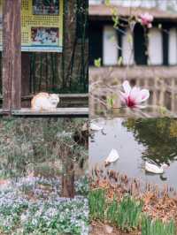 北京小眾景點—中華民族博物館