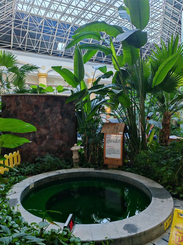 冬日溫泉好去處