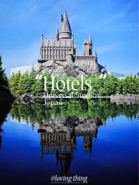 3 Hotels near USJ for Every Budget!