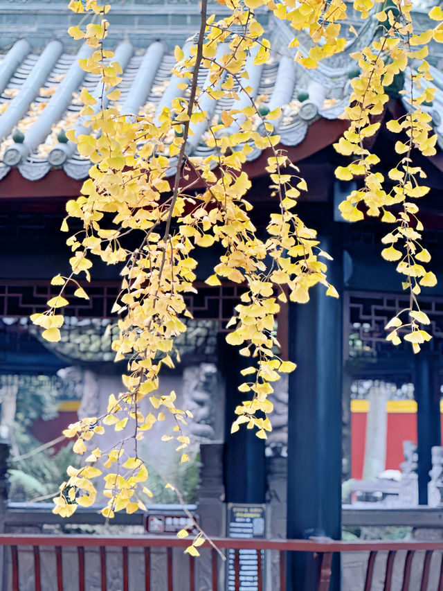 武侯祠同款｜僅5R去打卡這座千年古剎拍紅牆