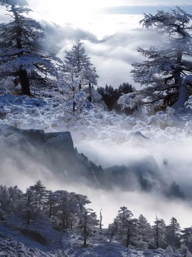 走進北方的香格里拉 | 山西的雪鄉蘆芽山