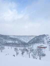 二世谷最大滑雪場——比羅夫滑雪場