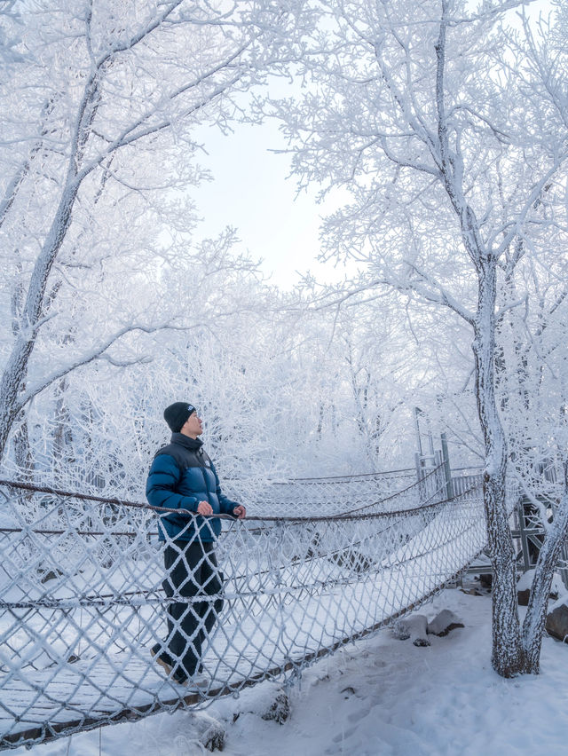 朋友圈問瘋了不是瑞士最浪漫的滑雪場