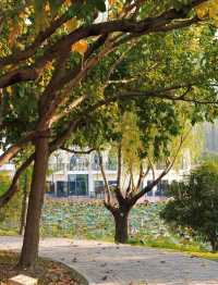 奉賢小眾歐式景點，奉浦四季生態園