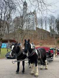 慕尼黑｜巴伐利亞山腳下的浪漫童話城堡