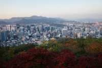 韓國首爾賞秋好去處-城市裡的南山公園