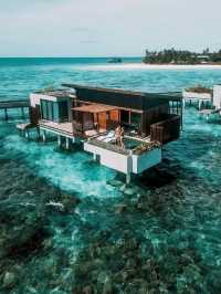馬爾代夫嘅哈達哈島（Hadahaa）係一個真正嘅浮潛天堂。