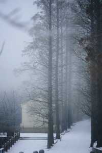 武漢的雪，落在了木蘭山之上
