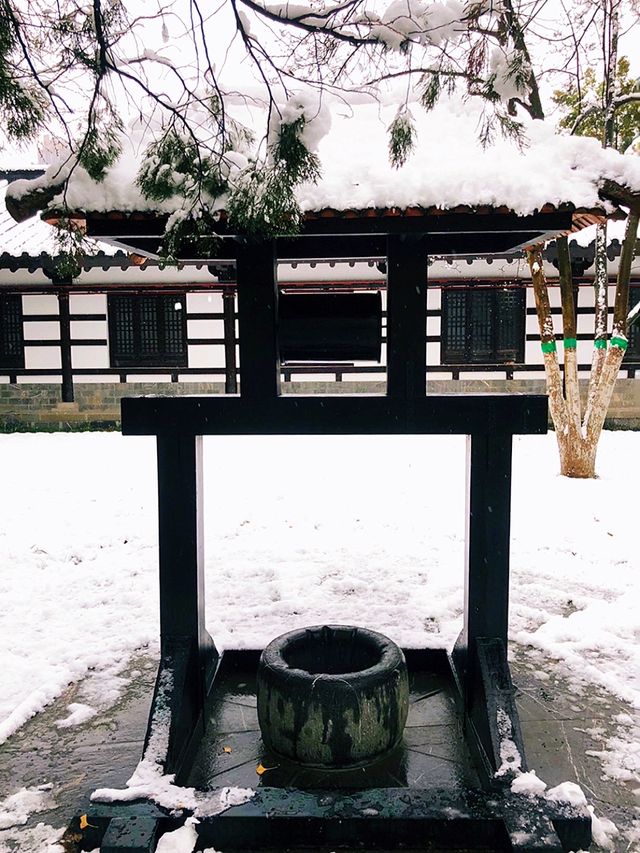 瑞雪悄盈園：雪後逍遙津