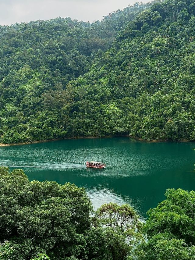 廣東肇慶市鼎湖山|來感受大自然的美吧！