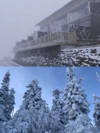 泸州小眾看雪地｜羅漢林泸州之巔 一起來堆雪人