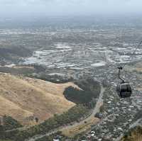 Explore City and Nature in Christchurch!