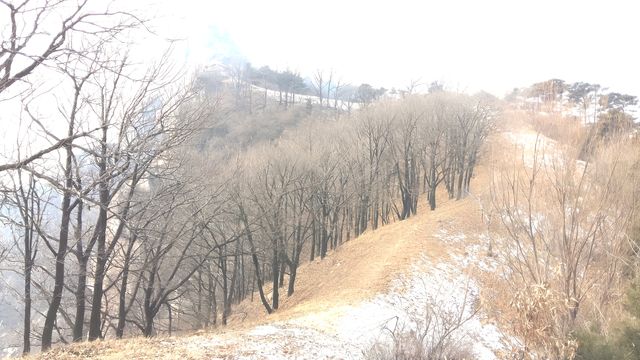 飛雪灑蘆如銀箭，莫道雁群落群雁