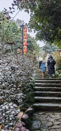徒步杭州最美森林古道：徑山古道