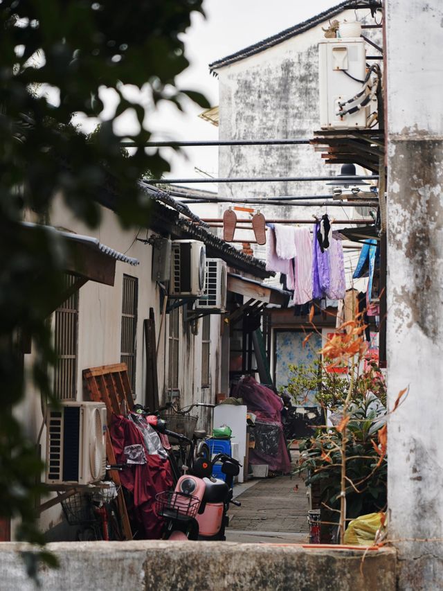 【蘇州旅行攻略】探尋江南水鄉的韻味，漫步蘇州的柔軟時光！