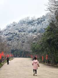 大家都去紫金山而我們來了幕府山