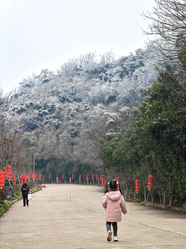 大家都去紫金山而我們來了幕府山