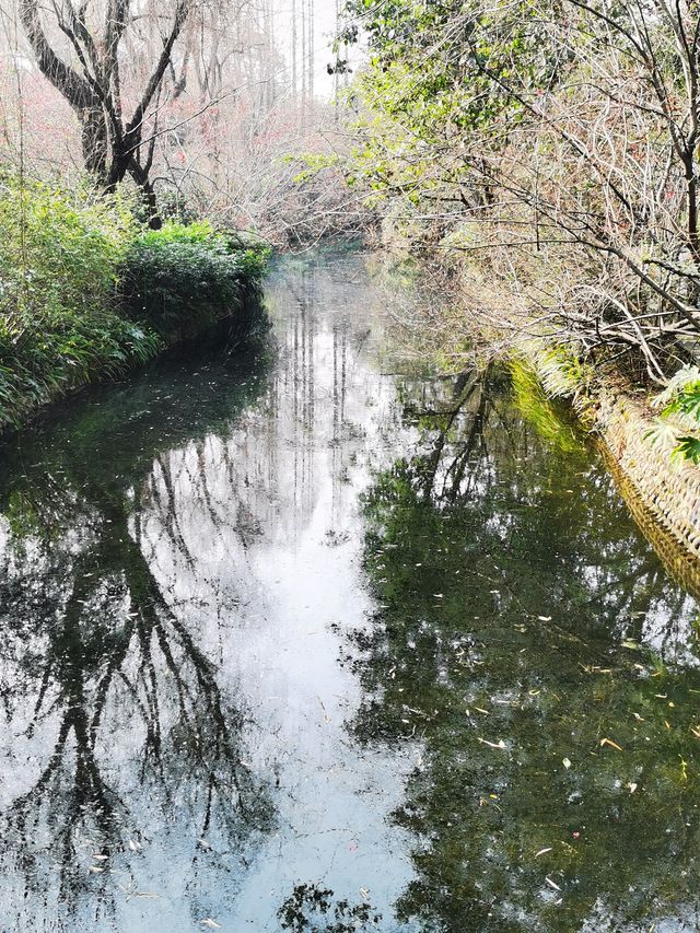 棠湖賞花正當時