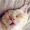Reed_Dolores_72