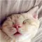 Reed_Dolores_72