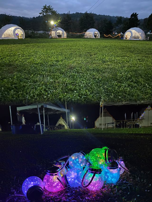 昆明團建‖公司這次安排的團建也太好玩了吧