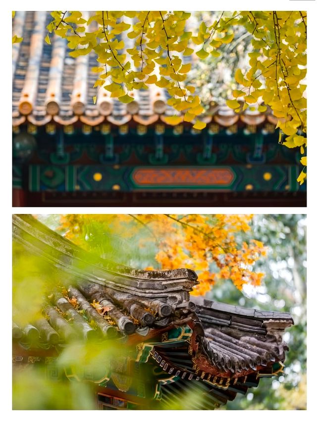 北京旅行|秋天，一定要住北平！
