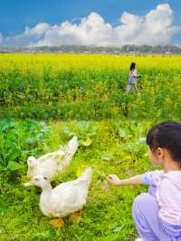 春日騎行露營賞花 | 廣州不花錢可以呆一天的地方