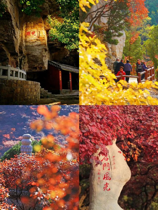 看萬山紅遍，層林盡染