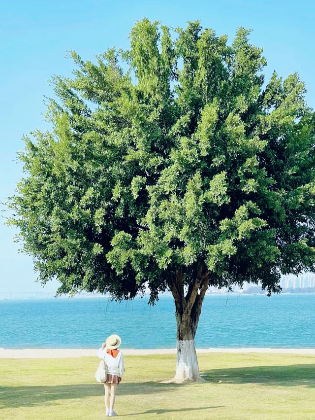 國慶就去福建吧，9個小眾景點送給你~