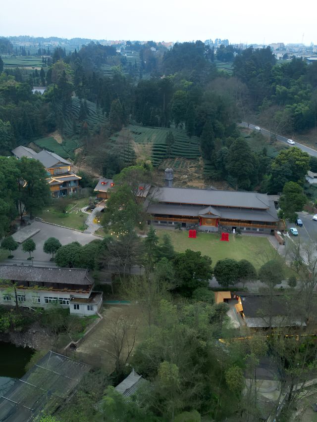 雅安黃茶村民宿，萬畝茶園裡的寶藏院子