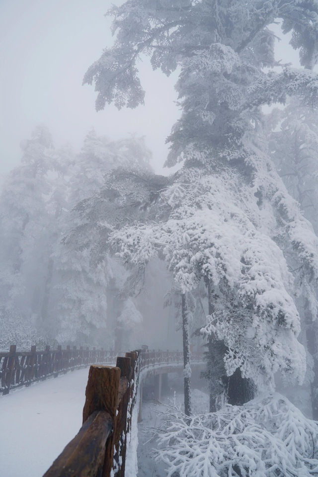 霧有多美妙，去了瓦屋山才知道