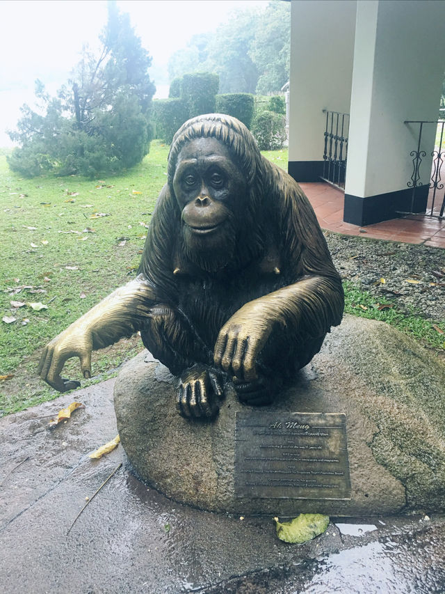 新加坡｜動物園