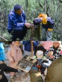 搖身一變熊貓“飼養員”萌娃超愛的四川之旅