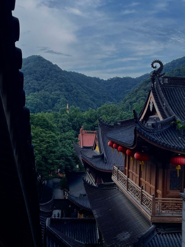願世界化為滄海，願你我歸於初見