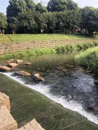 夏日治愈系綠色這個公園隨手一拍都好美