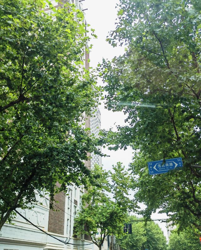 魔都 晴雨間偷得浮生半日閒！