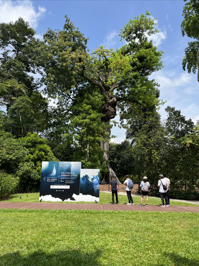 新加坡植物園 - 花園城市的發源地