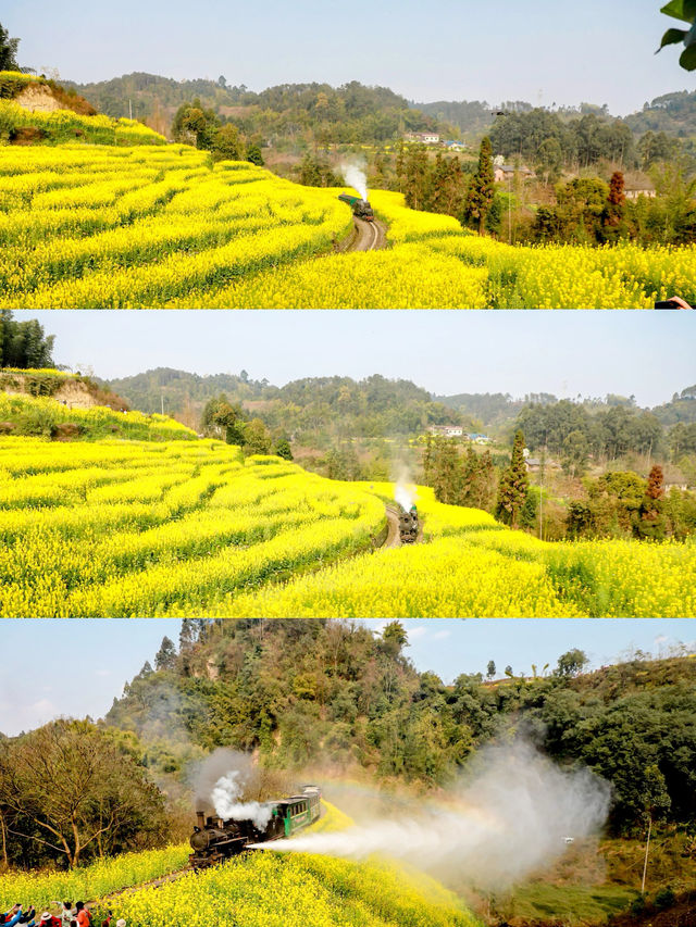 春天玩點花的｜樂山嘉陽小火車旅行