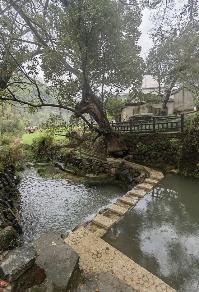 落腳水竹坑村民宿，遊鄣山大峽谷