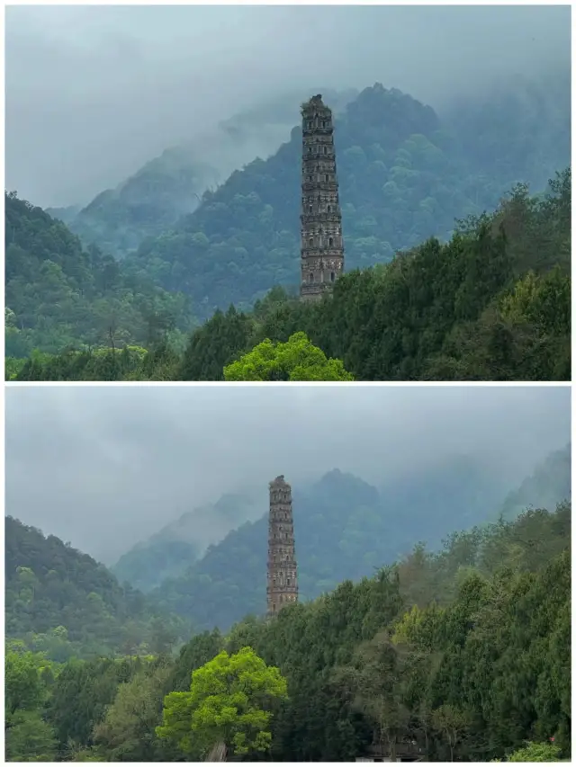 따라 하기 가장 성공적인 한 번이었다!!