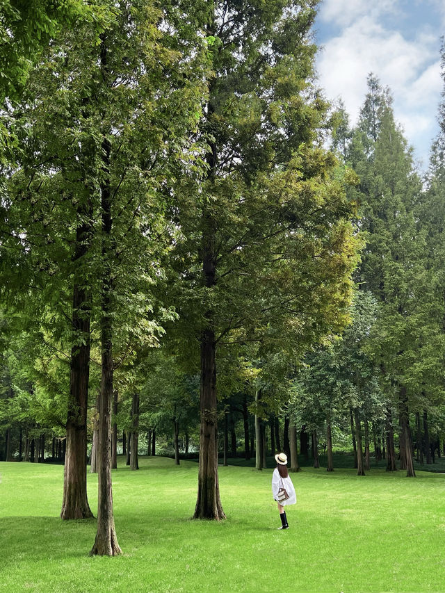 This petite forest park in Chengdu! It's 1000 times more entertaining than Chunxi Road!