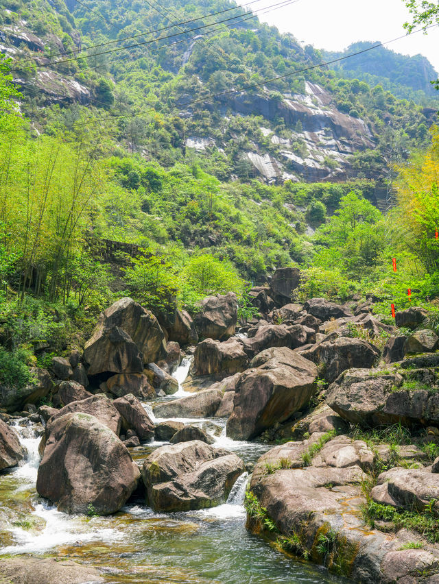 這不是新疆是麗水天然小眾徒步登山氧吧