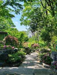 探尋無錫：走進如愛麗絲花園般的仙蠡墩公園