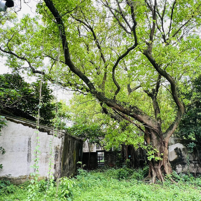 打卡澳門網紅旅遊點：益隆炮竹廠舊址