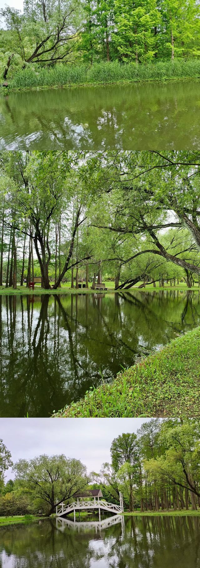 共青森林公園我的寶藏公園