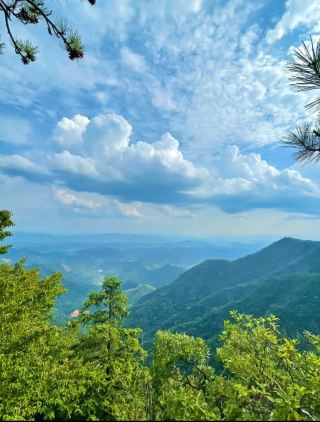 Forest Healing: A 3-day, 2-night stay in Xitianmu Mountain