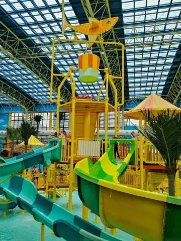 不吹不黑,來說說舟山新開的【森泊樂園】