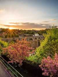 🌟 Luxe Stays in Luxembourg: Sofitel's Skyline Splendor 🌟