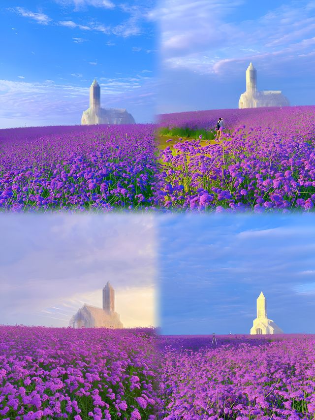 「成都版普羅旺斯」夢幻紫花海圓你公主夢