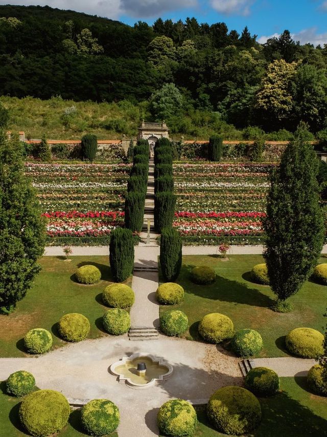 🏰✨ Enchanting Frankfurt Castle Stay: Schlosshotel Kronberg